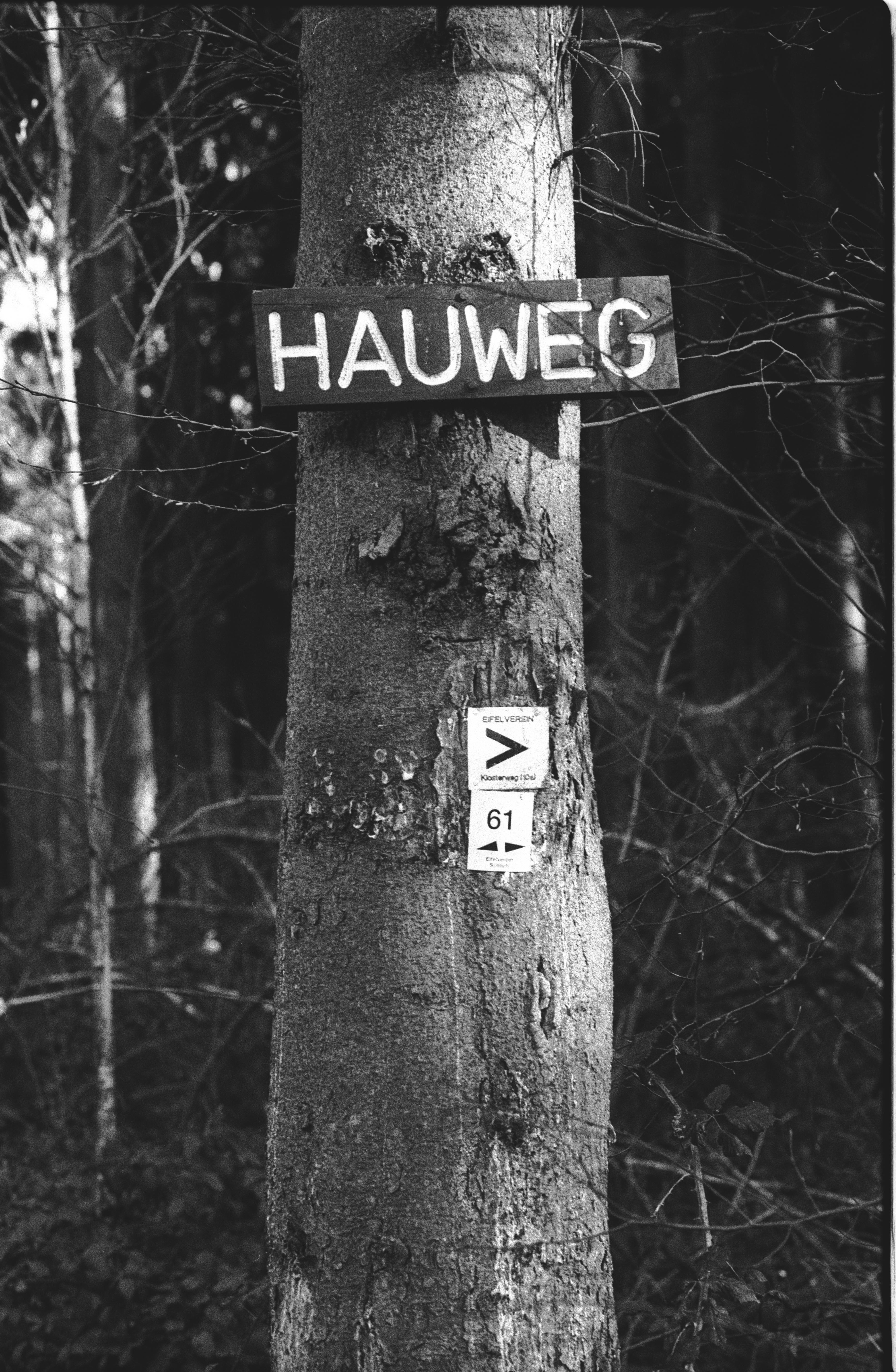 Pushen, Pullen und der neue SPUR VarioSpeed-2